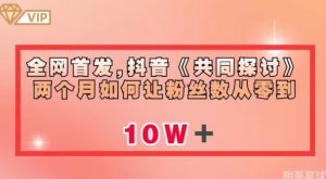 全网首发，抖音《共同探讨》两个月如何让粉丝数从零到10w【揭秘】-风淘社
