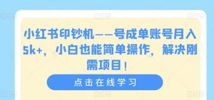 小红书印钞机——号成单账号月入5k+,小白也能简单操作,解决刚需项目【揭秘】-风淘社