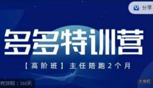 纪主任·多多特训营高阶班【9月13日更新】,拼多多最新玩法技巧落地实操-风淘社