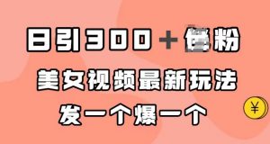 日引300＋男粉，美女视频最新玩法，发一个爆一个【揭秘】-风淘社