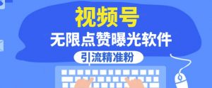 全网首发,视频号无限点赞曝光,引流精准粉【揭秘】-风淘社
