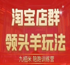 九栢米-淘宝店群领头羊玩法,教你整个淘宝店群领头羊玩法以及精细化/终极蓝海/尾销等内容-风淘社