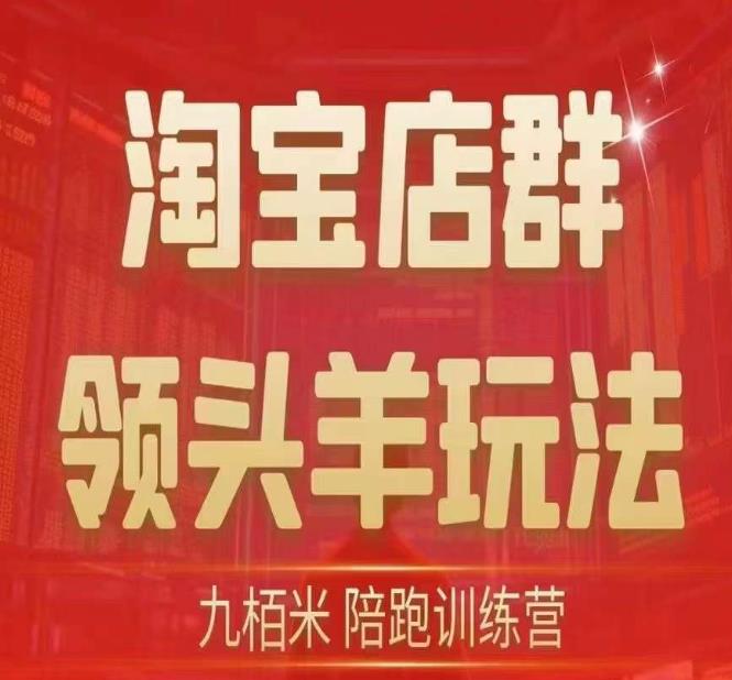 九栢米-淘宝店群领头羊玩法,教你整个淘宝店群领头羊玩法以及精细化/终极蓝海/尾销等内容-风淘社