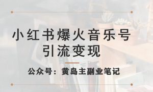 小红书爆火音乐号引流变现项目,视频版一条龙实操玩法分享给你-风淘社