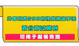 外面收费599的视频搬运手法,百分百过原创,可用起号变现【揭秘】-风淘社