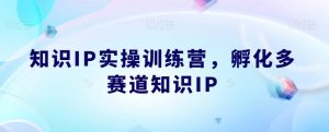 知识IP实操训练营，​孵化多赛道知识IP-风淘社