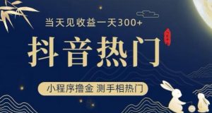 抖音最新小程序撸金,测手相上热门,当天见收益一小时变现300+【揭秘】-风淘社
