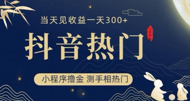 抖音最新小程序撸金，测手相上热门，当天见收益一小时变现300+【揭秘】-风淘社