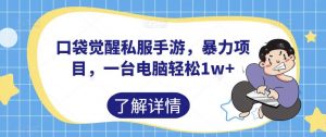 口袋觉醒私服手游,暴力项目,一台电脑轻松1w+【揭秘】-风淘社