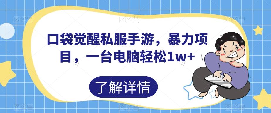 口袋觉醒私服手游,暴力项目,一台电脑轻松1w+【揭秘】-风淘社