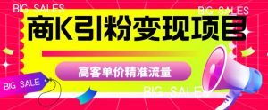 商K引粉变现项目，高客单价精准流量【揭秘】-风淘社