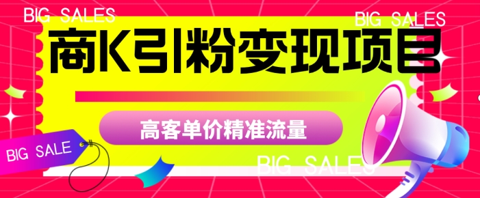 商K引粉变现项目,高客单价精准流量【揭秘】-风淘社