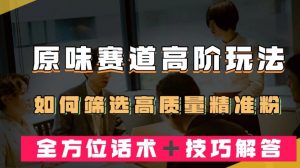 短视频原味赛道高阶玩法,如何筛选高质量精准粉?全方位话术+技巧解答【揭秘】-风淘社