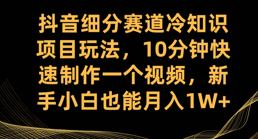 抖音细分赛道冷知识项目玩法，10分钟快速制作一个视频，新手小白也能月入1W+【揭秘】-风淘社