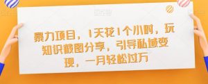 暴力项目,1天花1个小时,玩知识截图分享,引导私域变现,一月轻松过万【截图】-风淘社