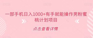 一部手机日入1000+有手就能操作男粉蜜桃计划项目【揭秘】-风淘社