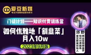 爱豆新媒：如何优雅地「割韭菜」月入10w的秘诀（2023年9月版）-风淘社