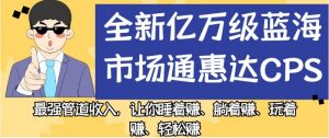 全新亿万级蓝海市场通惠达cps,最强管道收入,让你睡着赚、躺着赚、玩着赚、轻松赚【揭秘】-风淘社