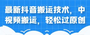 外卖598元的最新抖音搬运技术,中视频搬运,轻松过原创-风淘社