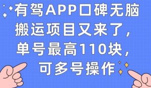 有驾APP口碑无脑搬运项目又来了，单号最高110块，可多号操作-风淘社