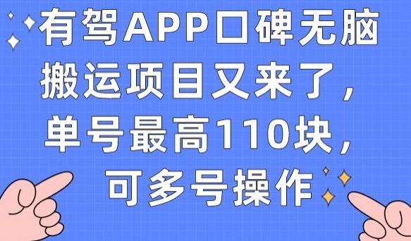 有驾APP口碑无脑搬运项目又来了，单号最高110块，可多号操作-风淘社