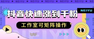 抖音快速涨粉秘籍,教你如何快速涨到千粉,工作室可矩阵操作【揭秘】-风淘社