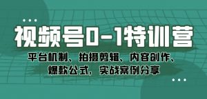 视频号0-1特训营：平台机制、拍摄剪辑、内容创作、爆款公式，实战案例分享-风淘社