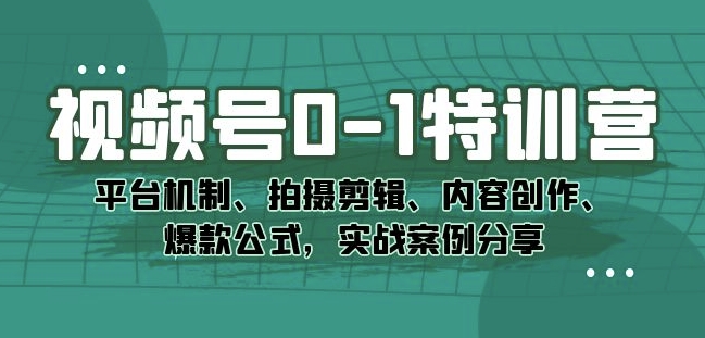 视频号0-1特训营:平台机制、拍摄剪辑、内容创作、爆款公式,实战案例分享-风淘社