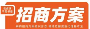 王昕招商方案,解构招商方案意识形态,精准把握渠道代理基本法-风淘社