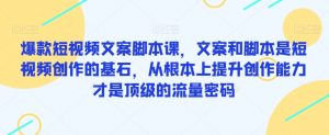 爆款短视频文案脚本课，文案和脚本是短视频创作的基石，从根本上提升创作能力才是顶级的流量密码-风淘社