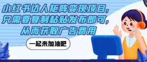 小红书达人矩阵变现项目,只需要复制粘贴发布即可,从而获取广告费用-风淘社