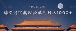 一部手机薅支付奖励金宝羊毛轻松日入1000+-风淘社