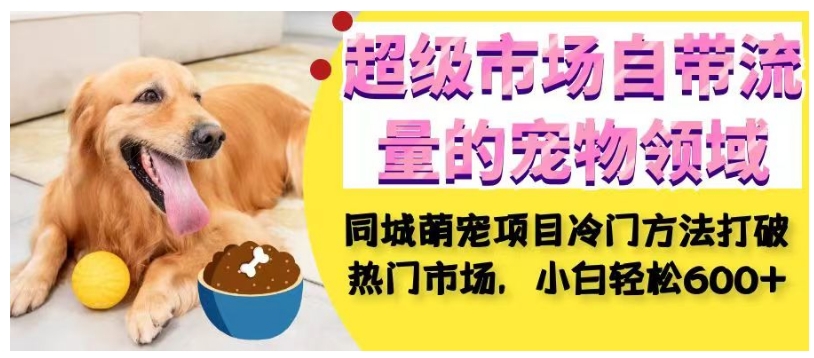 超级市场自带流量的宠物领域,同城萌宠项目冷门方法打破热门市场,小白轻松600+-风淘社
