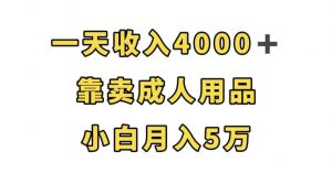 一天收入4000+,靠卖成人用品,小白轻松月入5万【揭秘】-风淘社
