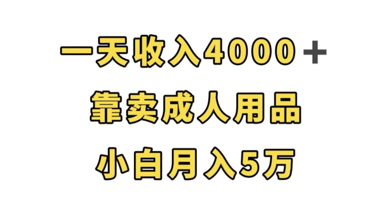 一天收入4000+,靠卖成人用品,小白轻松月入5万【揭秘】-风淘社