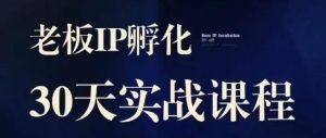 诸葛·2023老板IP实战课,实体同城引流获客,IP孵化必听-风淘社