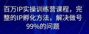 百万IP实操训练营课程,完整的IP孵化方法,解决做号99%的问题-风淘社