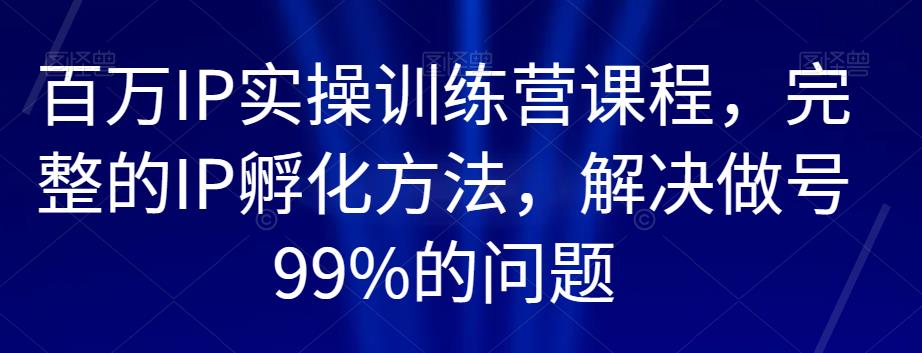 百万IP实操训练营课程,完整的IP孵化方法,解决做号99%的问题-风淘社