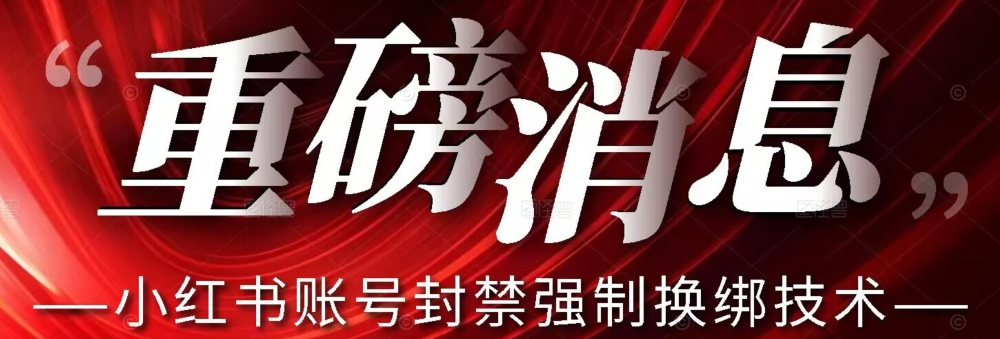 【最新】小红书账号封禁强制换绑技术可日赚300-风淘社