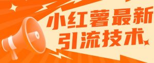 小红书最新引流技术,真正实现解放双手暴力引流-风淘社