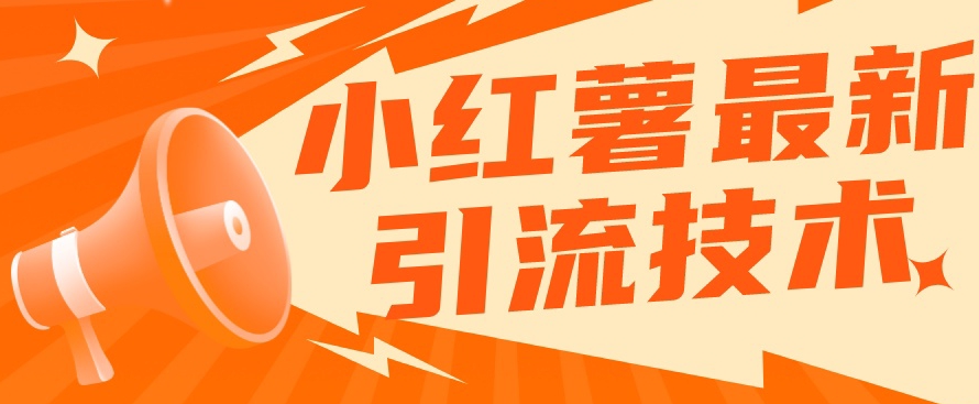 小红书最新引流技术，真正实现解放双手暴力引流-风淘社