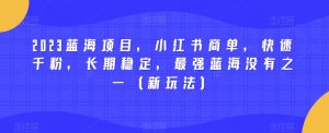 2023蓝海项目,小红书商单,快速千粉,长期稳定,最强蓝海没有之一(新玩法)-风淘社