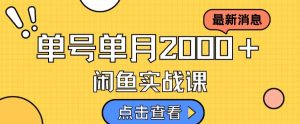 最新闲鱼日入500+,虚拟资料变现喂饭级讲解-风淘社
