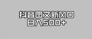 抖音图文最新风口,流量扶持非常高,日入500+【揭秘】-风淘社