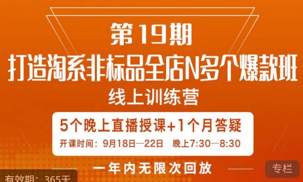 打造淘系非标全店N多个爆款线上课,5天直播课-风淘社