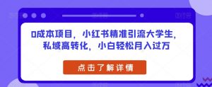 0成本项目,小红书精准引流大学生,私域高转化,小白轻松月入过万【揭秘】-风淘社