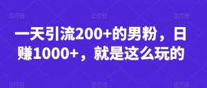 一天引流200+的男粉,日赚1000+,就是这么玩的【揭秘】-风淘社
