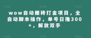wow自动搬砖打金项目,全自动脚本操作,单号日撸300+,解放双手【揭秘】-风淘社