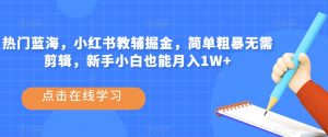 热门蓝海,小红书教辅掘金,简单粗暴无需剪辑,新手小白也能月入1W+【揭秘】-风淘社