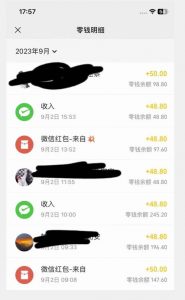 重磅揭秘!一个月9000+收益2023年9月最新yw男粉计划绿色玩法——人性利益更新玩法-风淘社